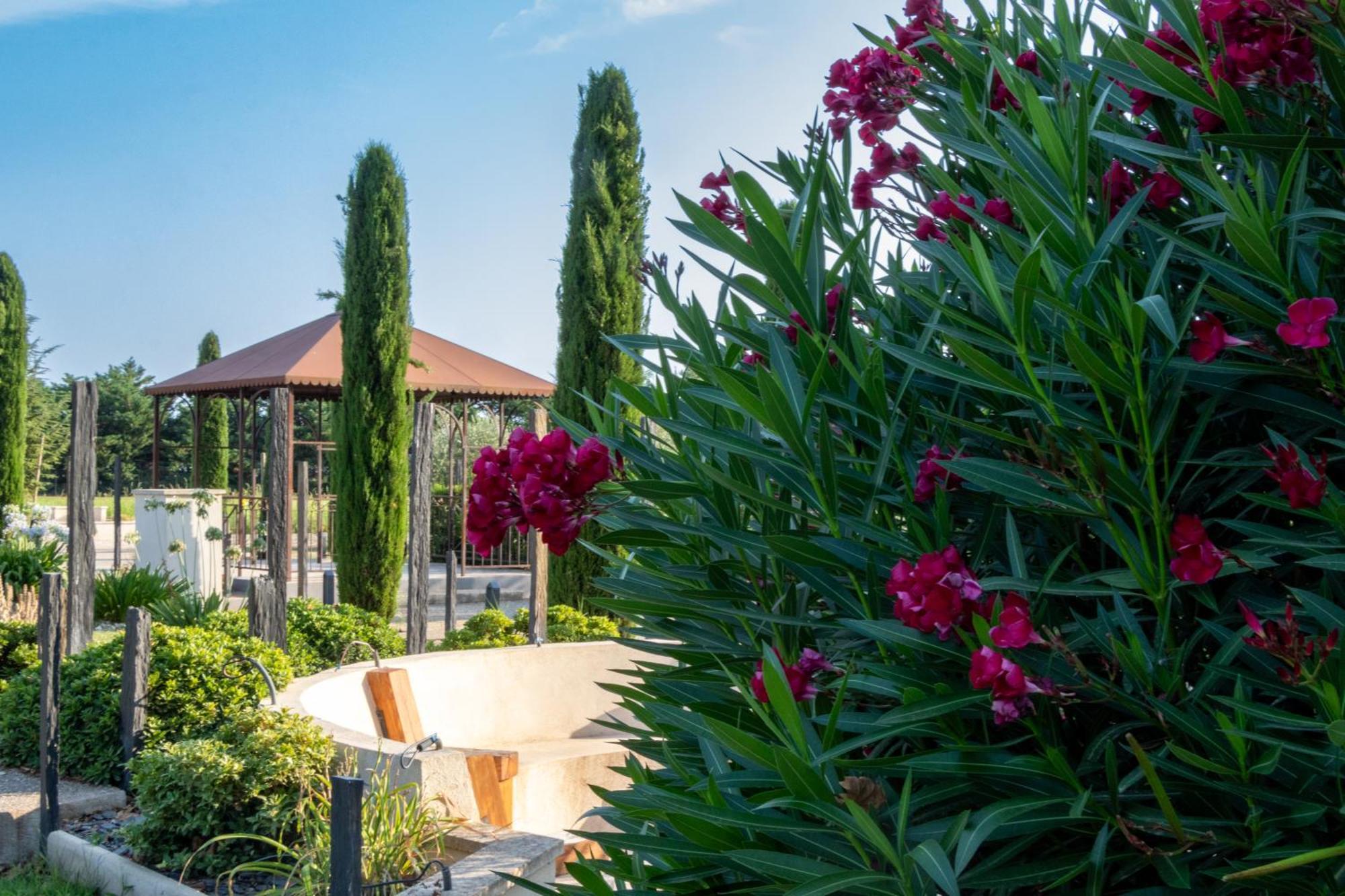 Saint-Andiol Mas Le 7 Bed & Breakfast エクステリア 写真